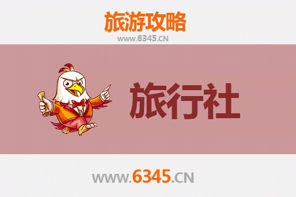 琼海国营东太农场本地旅行社推荐 | 深度体验热带农旅魅力