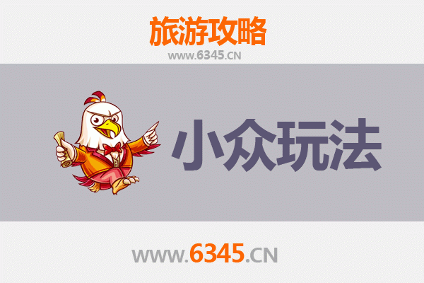 琼海国营东太农场小众玩法攻略：探秘热带田园与在地文化体验