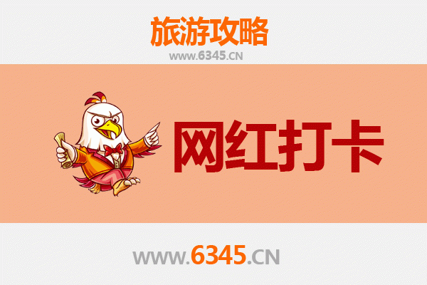 琼海国营东太农场：热带风情网红打卡全攻略